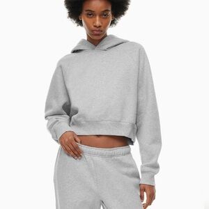 Aritzia Cozy Fleece Mega Raglan Cropped Hoodie Heather Chrome